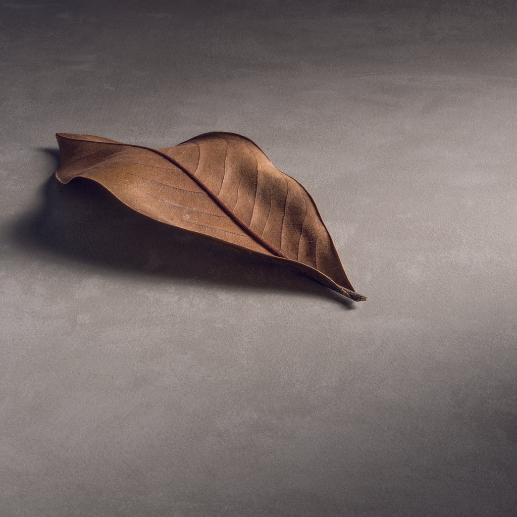  specchio e lampada LED 80x40 cm grigio caldo by CeramicStore | Lo specialista del tuo bagno