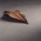  specchio e lampada LED 80x40 cm grigio caldo by CeramicStore | Lo specialista del tuo bagno