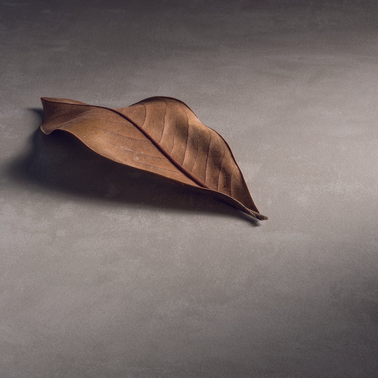  specchio e lampada LED 80x40 cm grigio caldo by CeramicStore | Lo specialista del tuo bagno