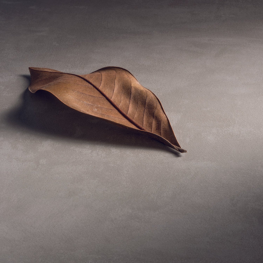  specchio e lampada LED e pensile 80x40 cm grigio caldo by CeramicStore | Lo specialista del tuo bagno