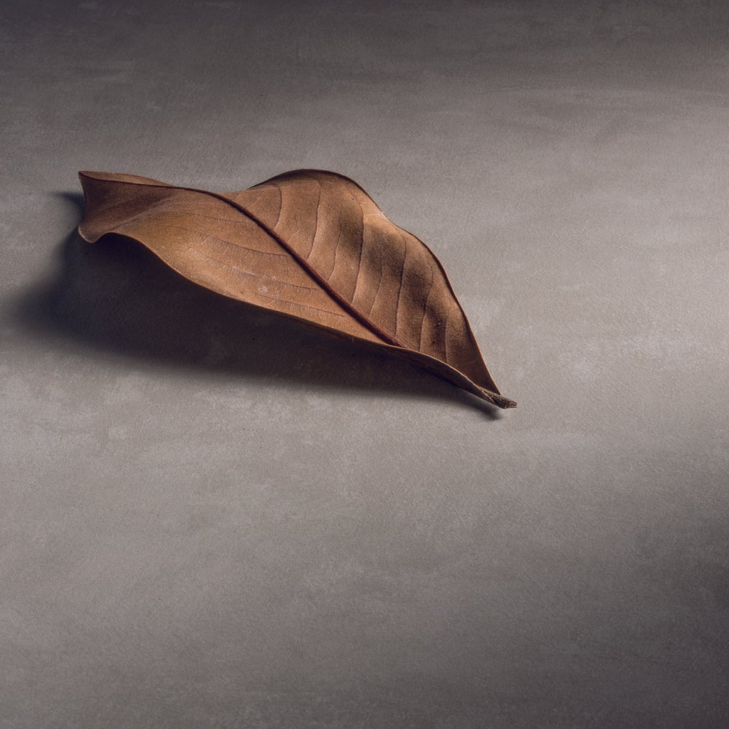  specchio e lampada LED 110x40 cm grigio caldo by CeramicStore | Lo specialista del tuo bagno